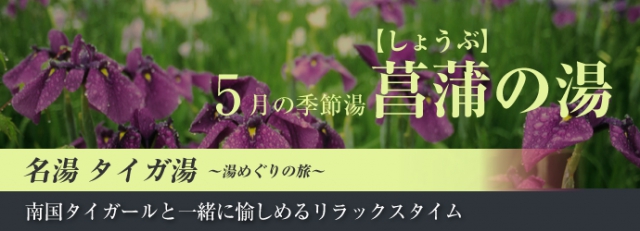 【無料】5月の名湯タイガ湯　菖蒲湯